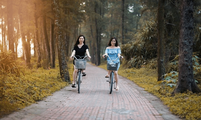 Đến Cô Tô, hòa mình vào thiên nhiên với các buổi đạp xe mỗi sáng